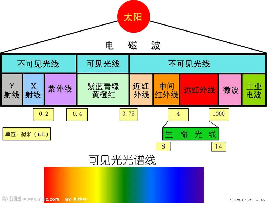 可见光.webp.jpg